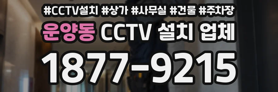 운양동 CCTV 설치 업체