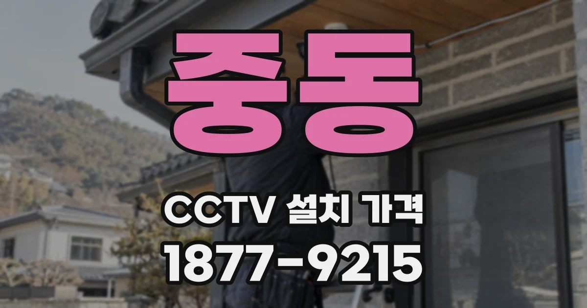 중동 CCTV 설치 가격