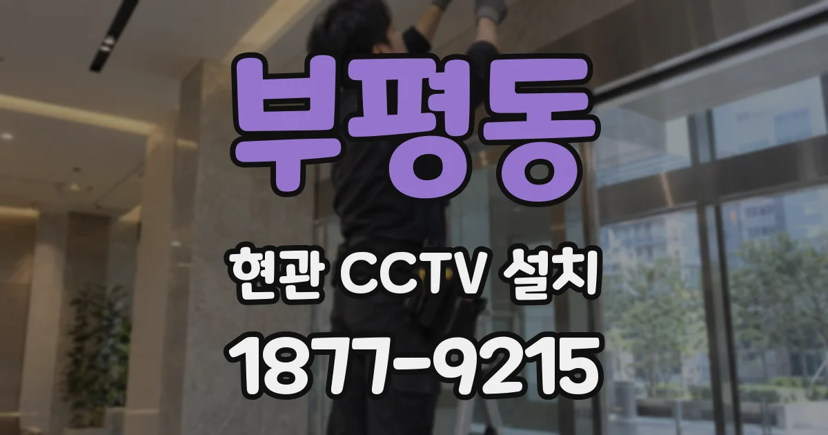 부평동 현관 CCTV 설치