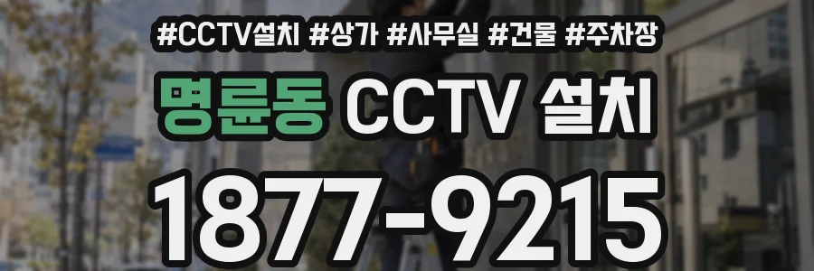 명륜동 CCTV 설치
