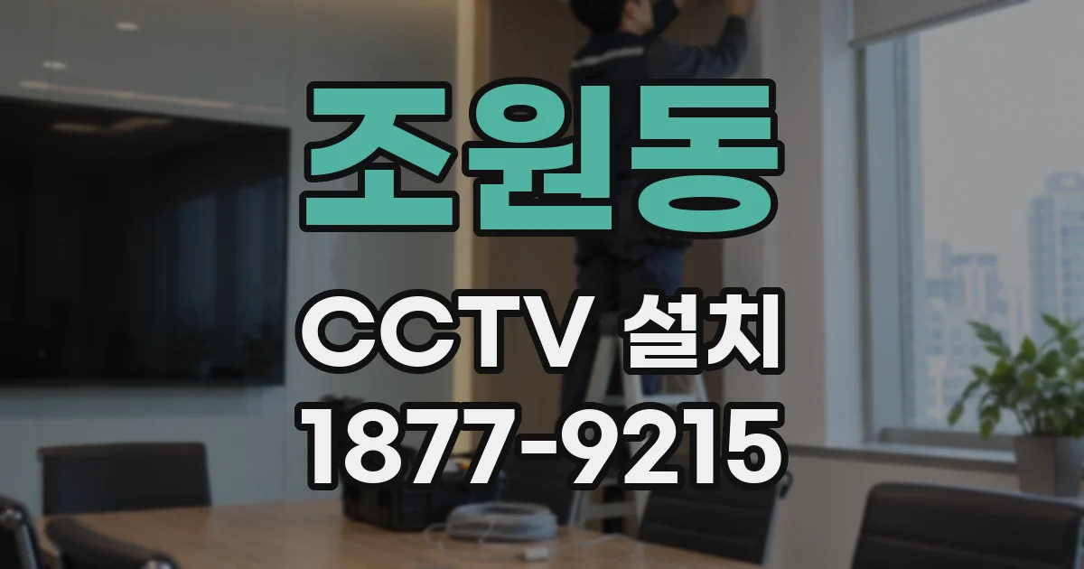조원동 CCTV 설치