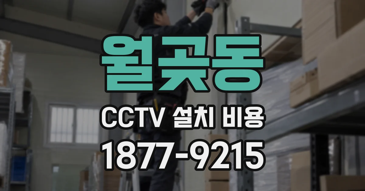월곶동 CCTV 설치 비용