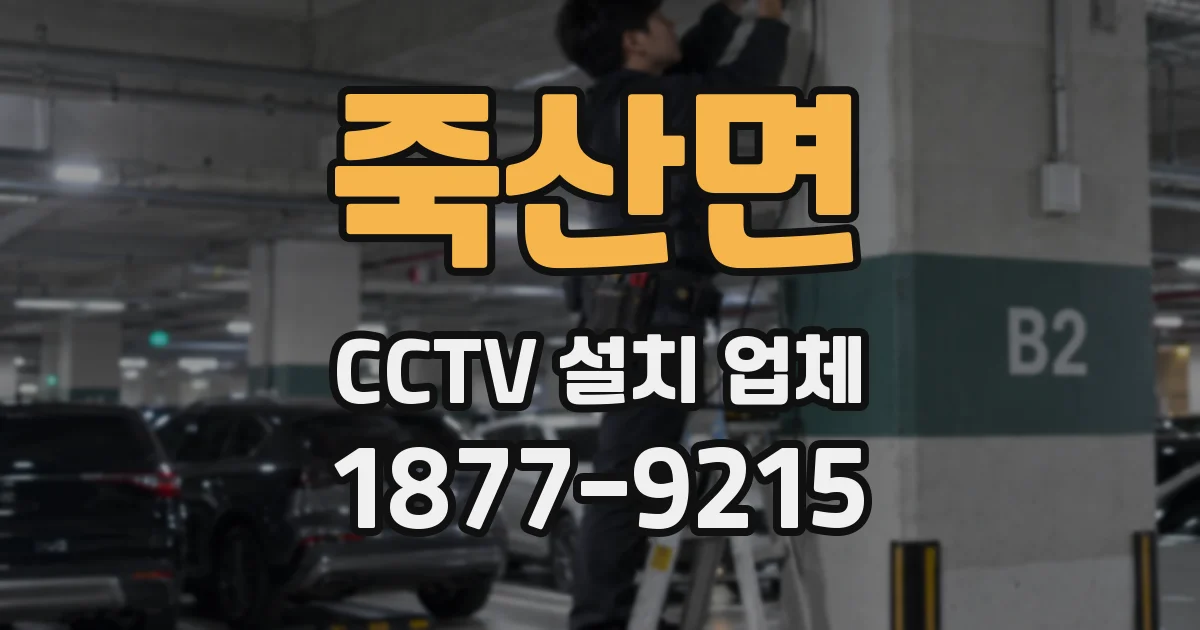 죽산면 CCTV 설치 업체