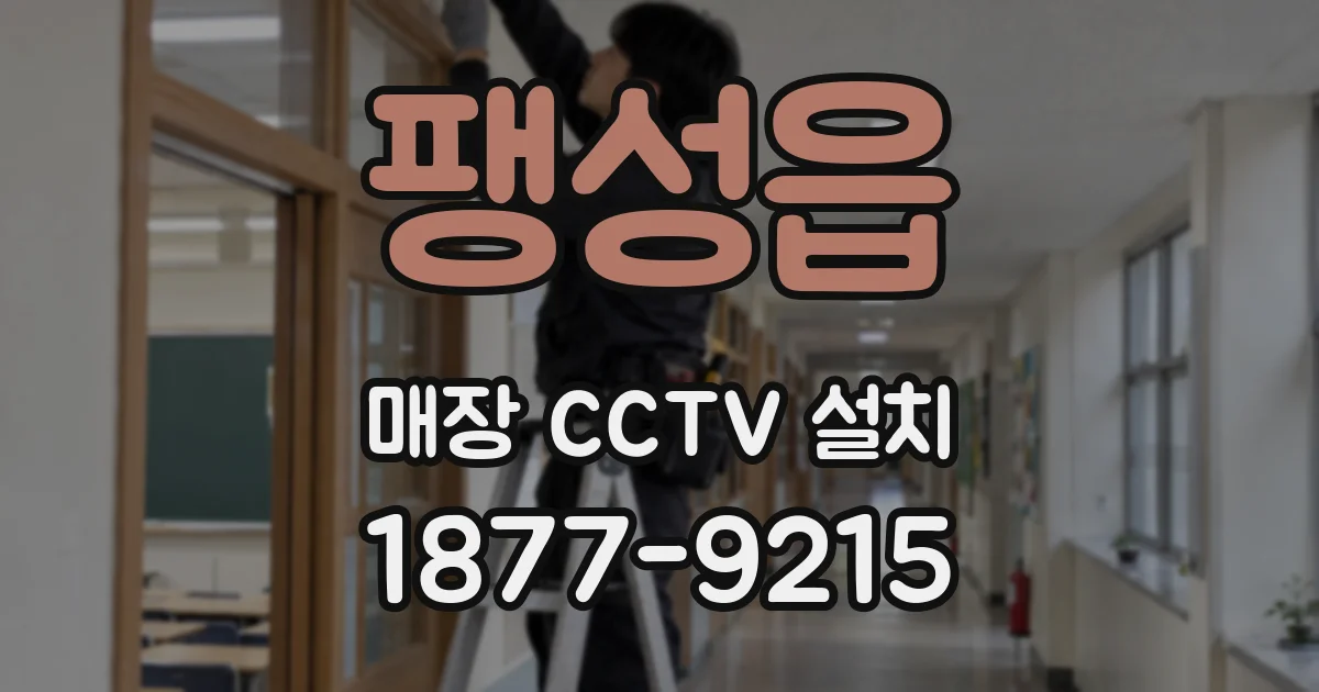 팽성읍 매장 CCTV 설치