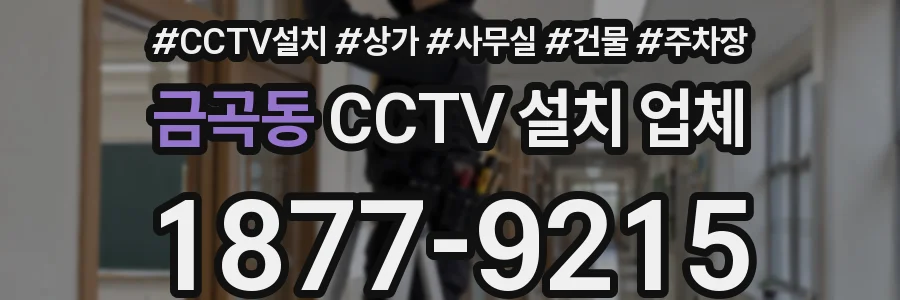 금곡동 CCTV 설치 업체