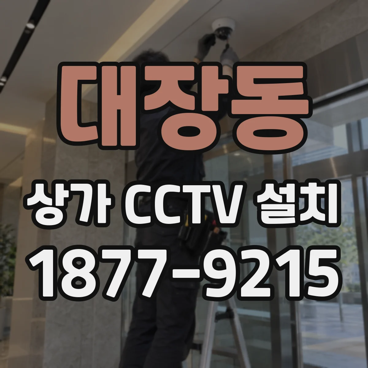 대장동 상가 CCTV 설치