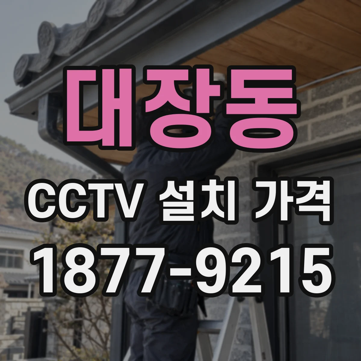 대장동 CCTV 설치 가격