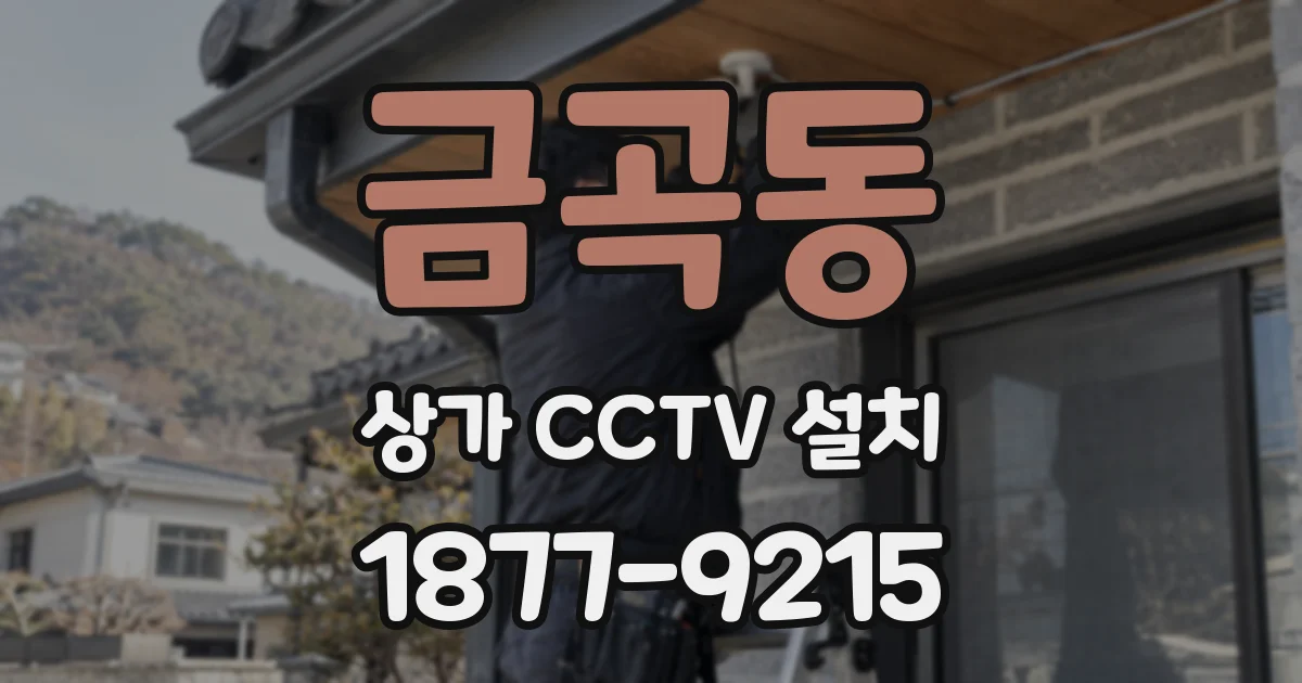 금곡동 상가 CCTV 설치