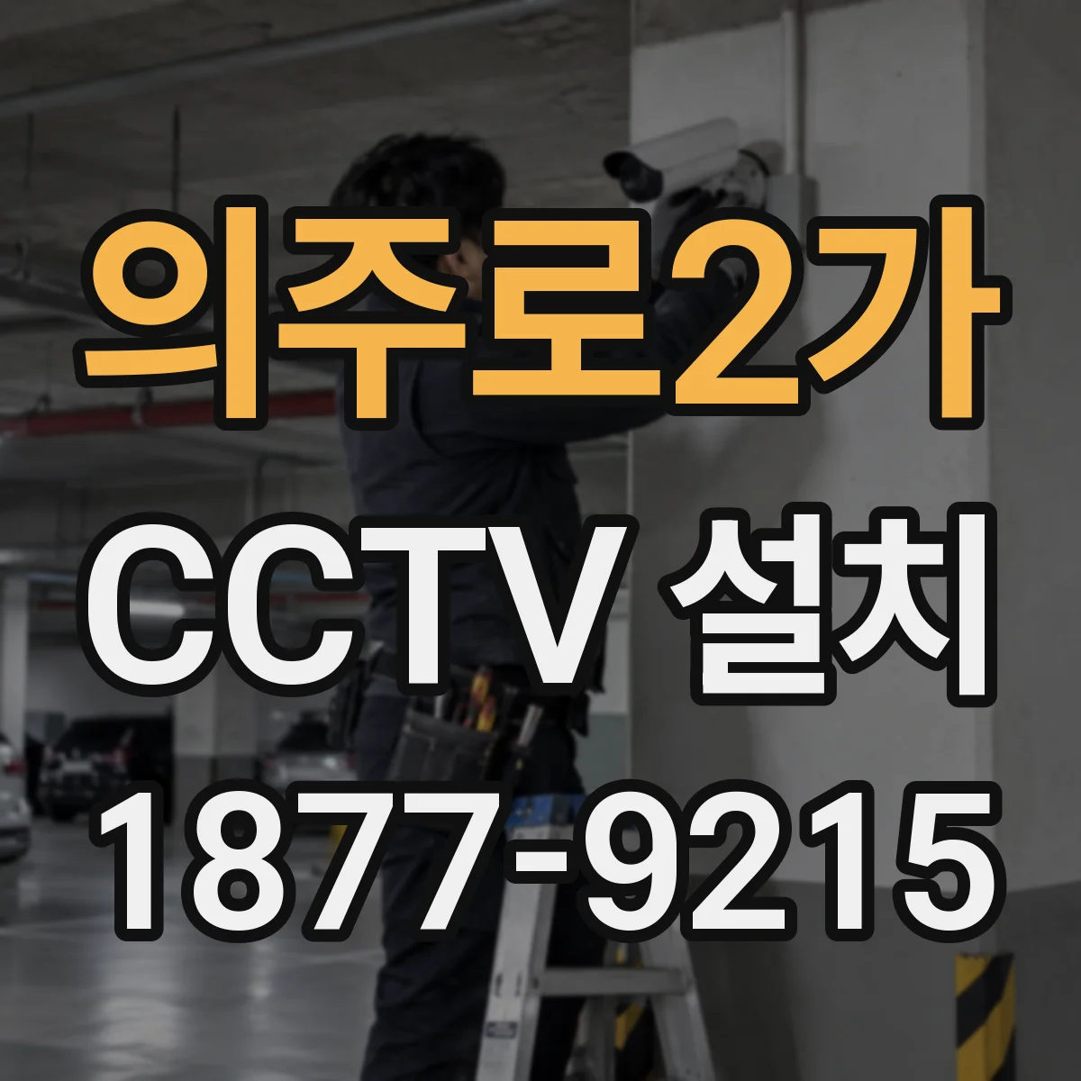 의주로2가 CCTV 설치
