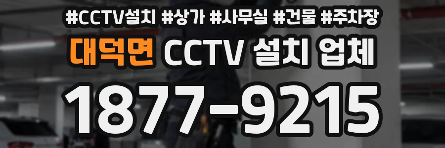 대덕면 CCTV 설치 업체