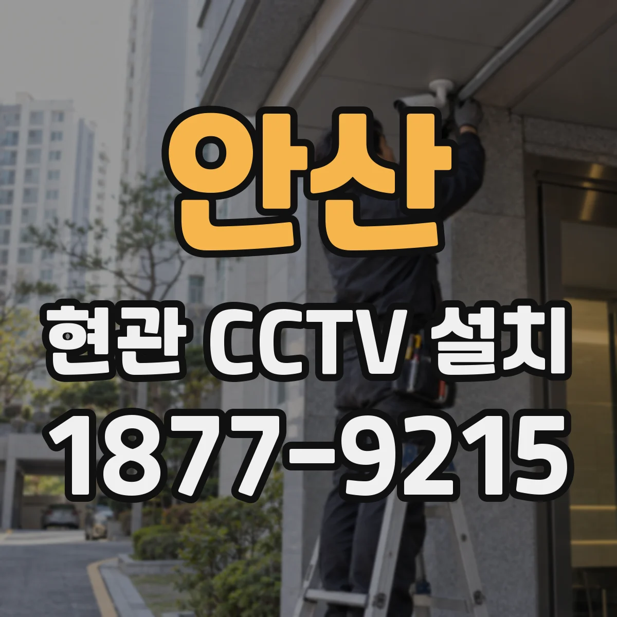 안산 현관 CCTV 설치