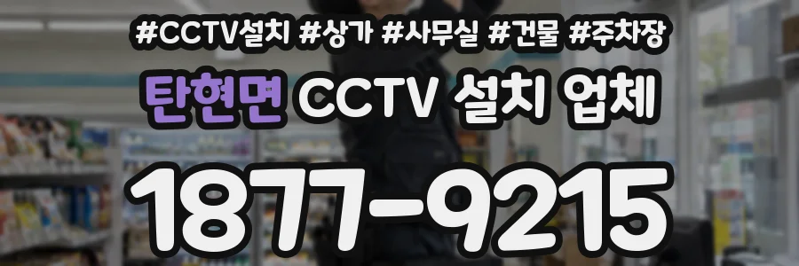 탄현면 CCTV 설치 업체
