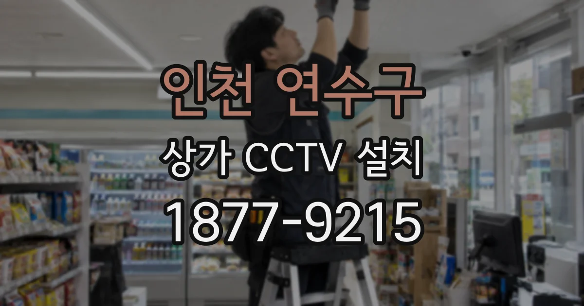 인천 연수구 상가 CCTV 설치