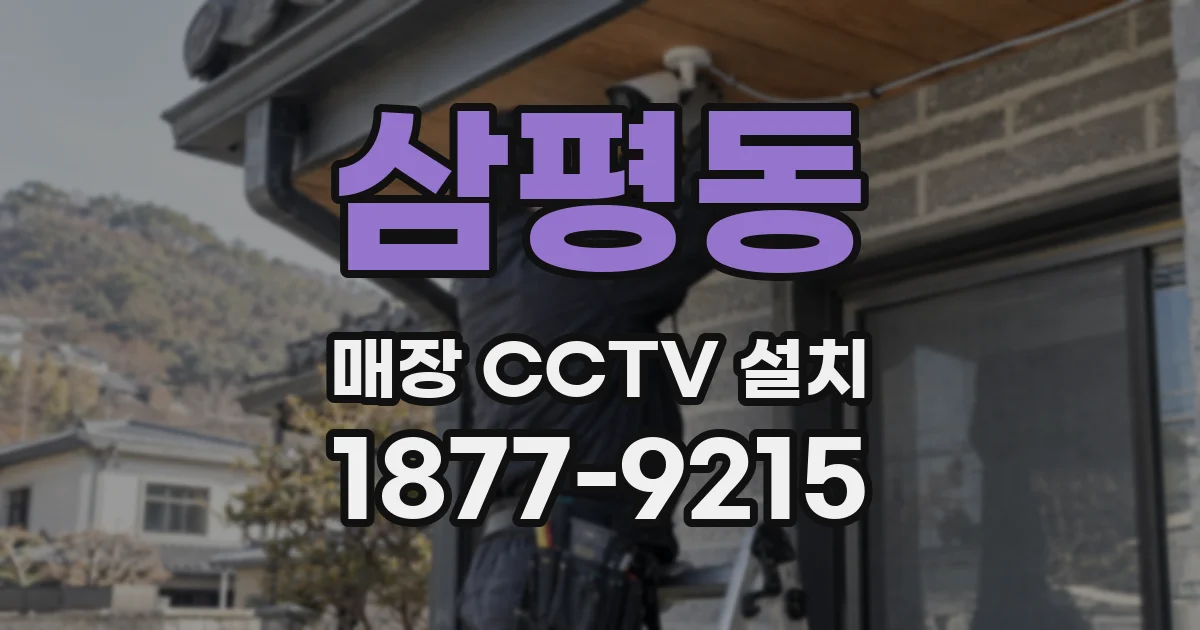 삼평동 매장 CCTV 설치