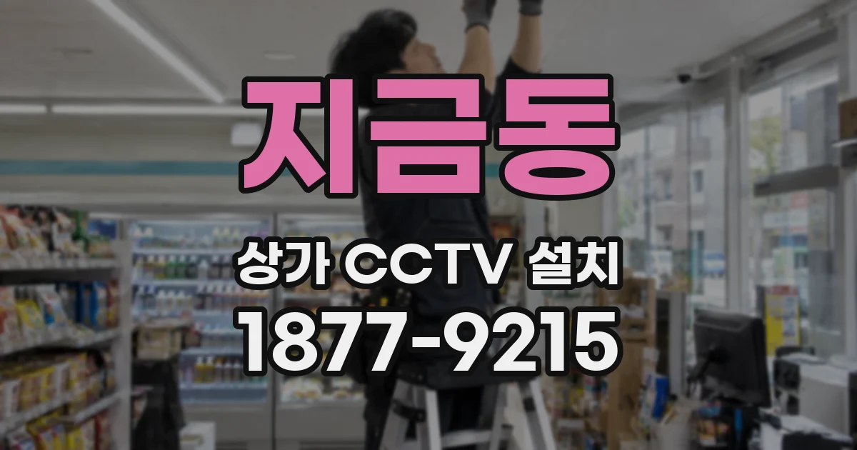 지금동 상가 CCTV 설치