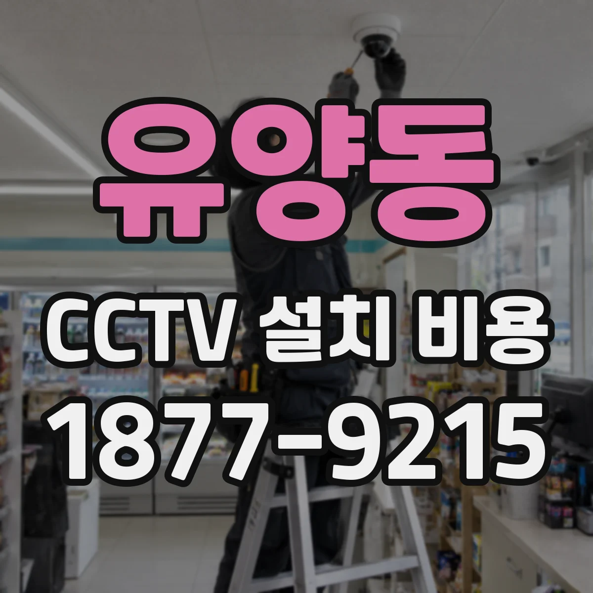 유양동 CCTV 설치 비용