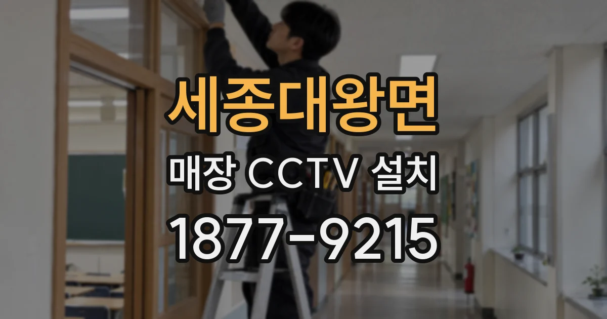 세종대왕면 매장 CCTV 설치