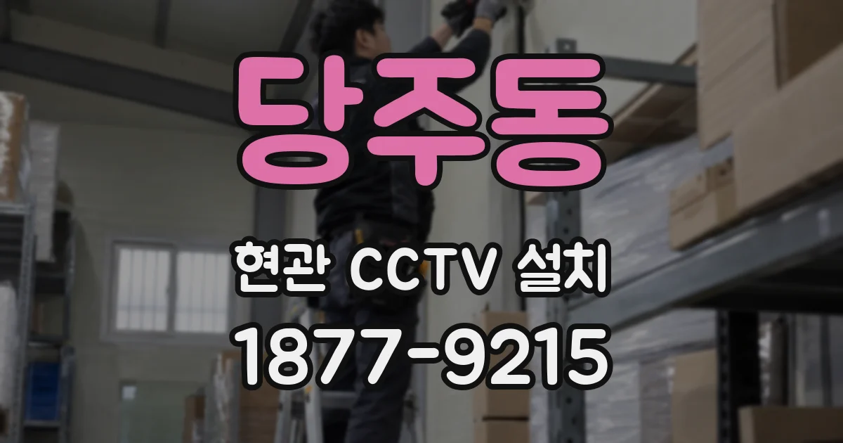 당주동 현관 CCTV 설치