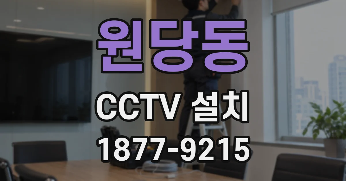 원당동 CCTV 설치