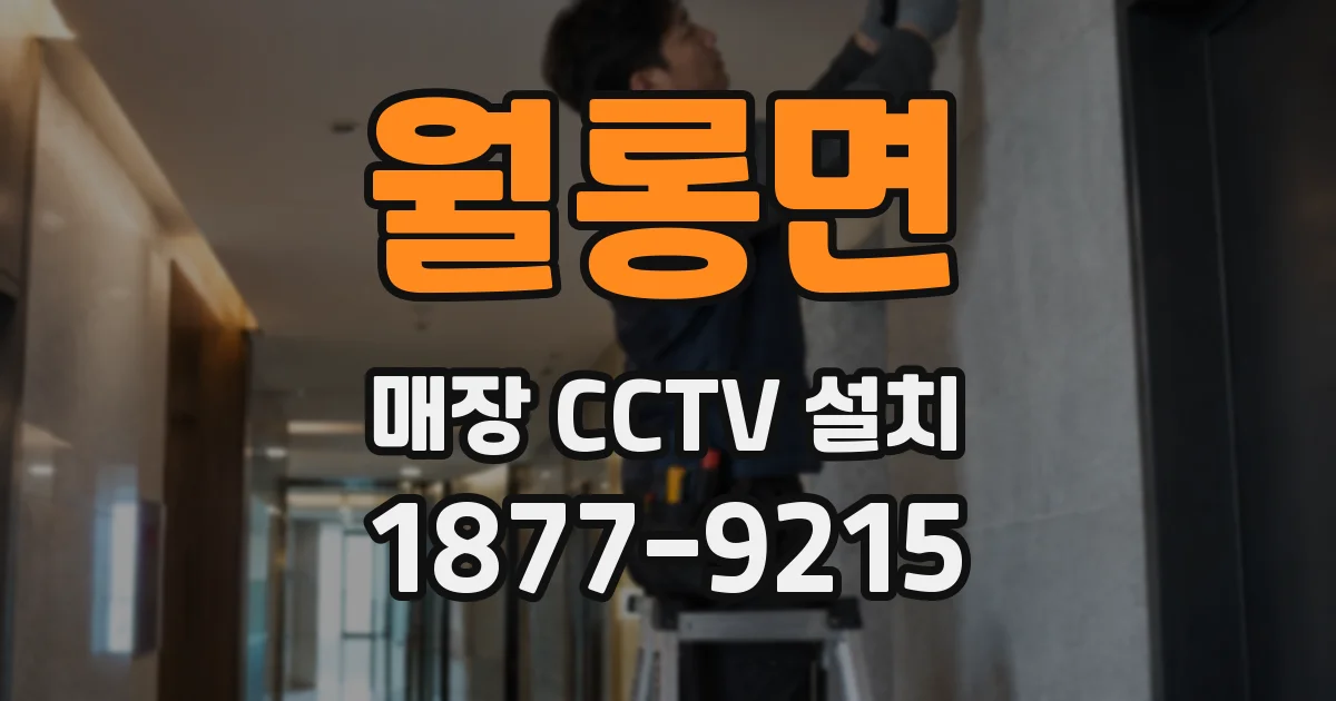 월롱면 매장 CCTV 설치