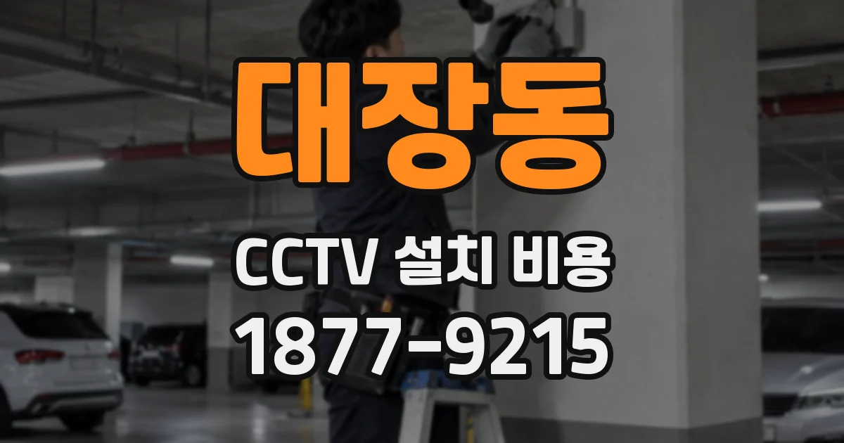 대장동 CCTV 설치 비용