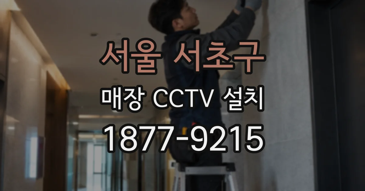 서울 서초구 매장 CCTV 설치