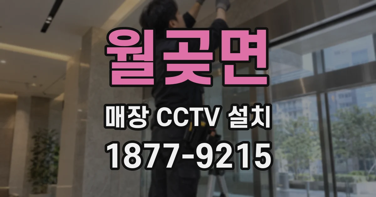 월곶면 매장 CCTV 설치