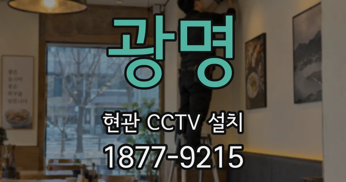 광명 현관 CCTV 설치
