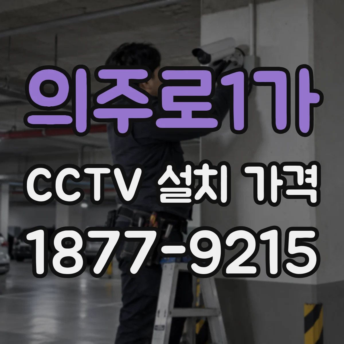 의주로1가 CCTV 설치 가격