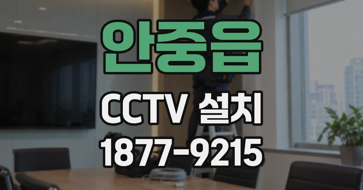 안중읍 CCTV 설치