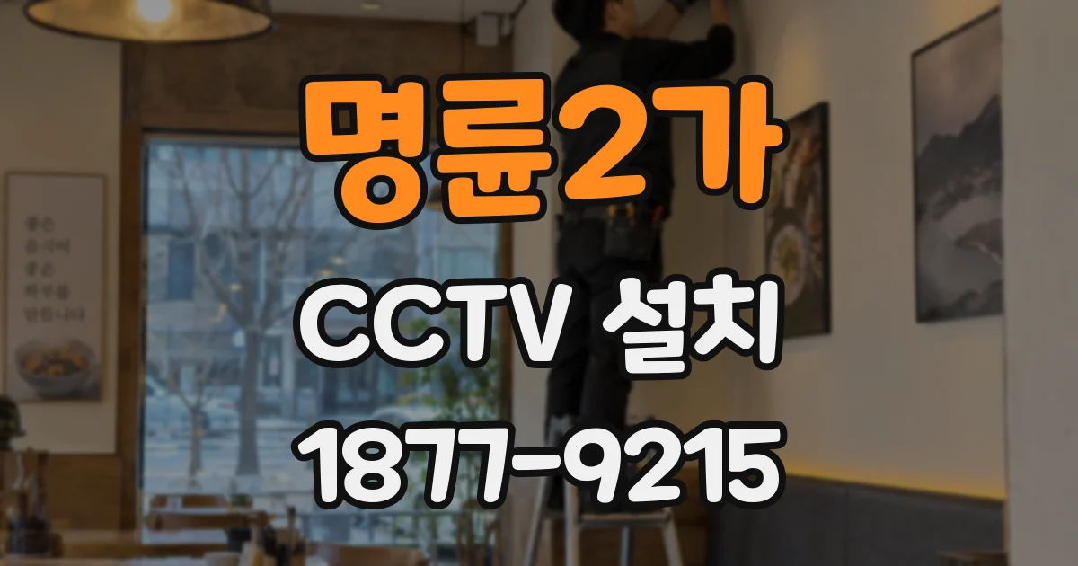 명륜2가 CCTV 설치