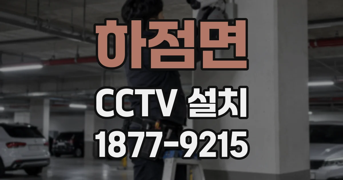 하점면 CCTV 설치