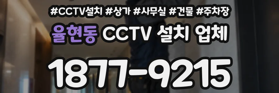 율현동 CCTV 설치 업체