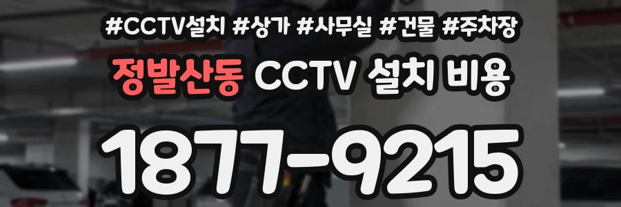 정발산동 CCTV 설치 비용