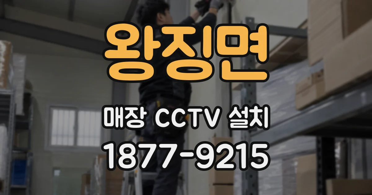왕징면 매장 CCTV 설치