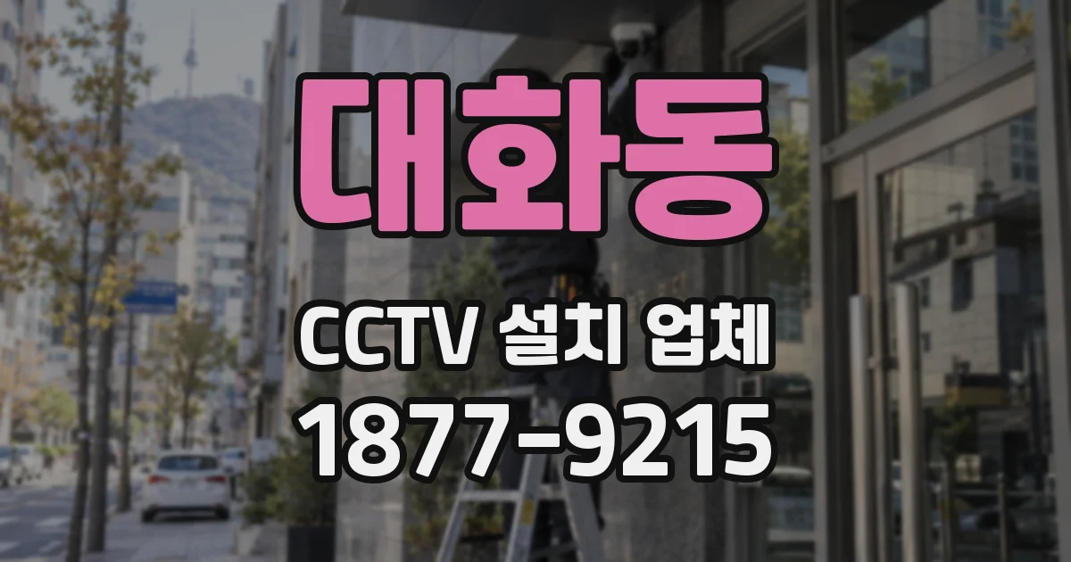대화동 CCTV 설치 업체