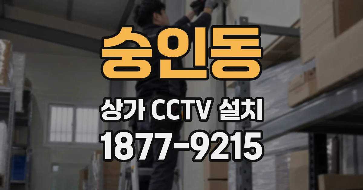 숭인동 상가 CCTV 설치