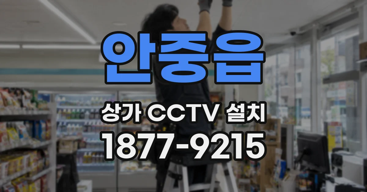 안중읍 상가 CCTV 설치