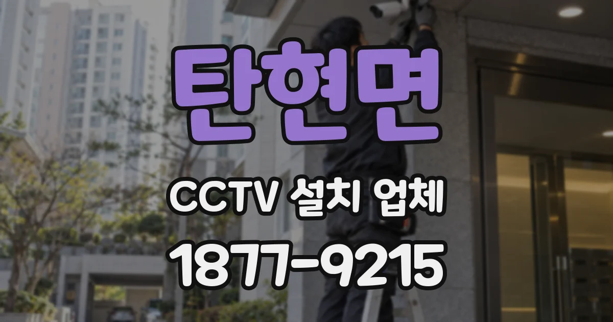 탄현면 CCTV 설치 업체