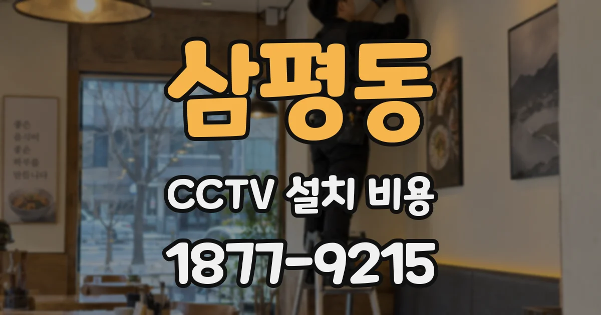 삼평동 CCTV 설치 비용