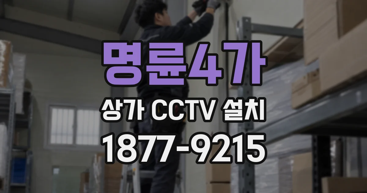 명륜4가 상가 CCTV 설치