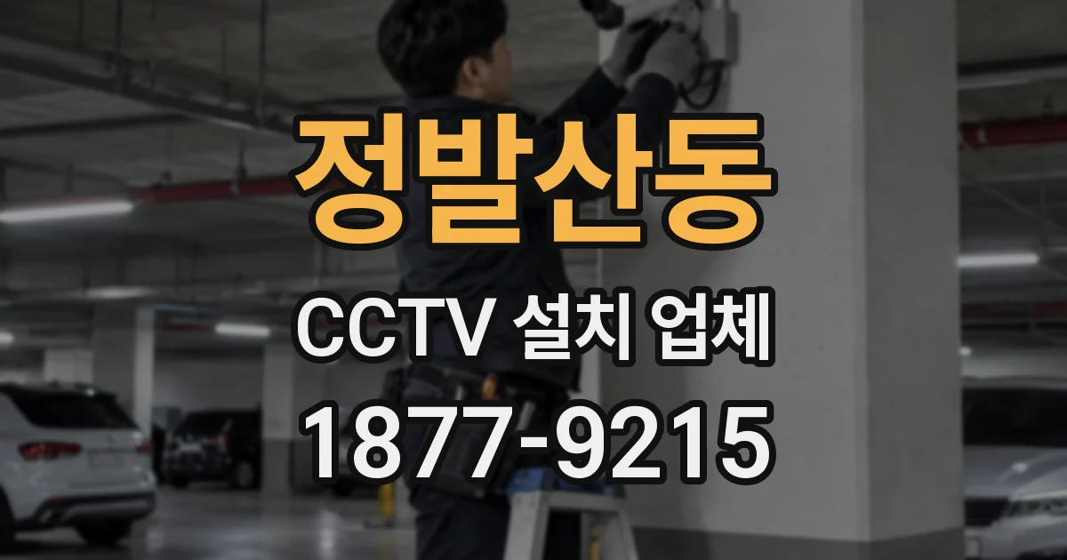 정발산동 CCTV 설치 업체