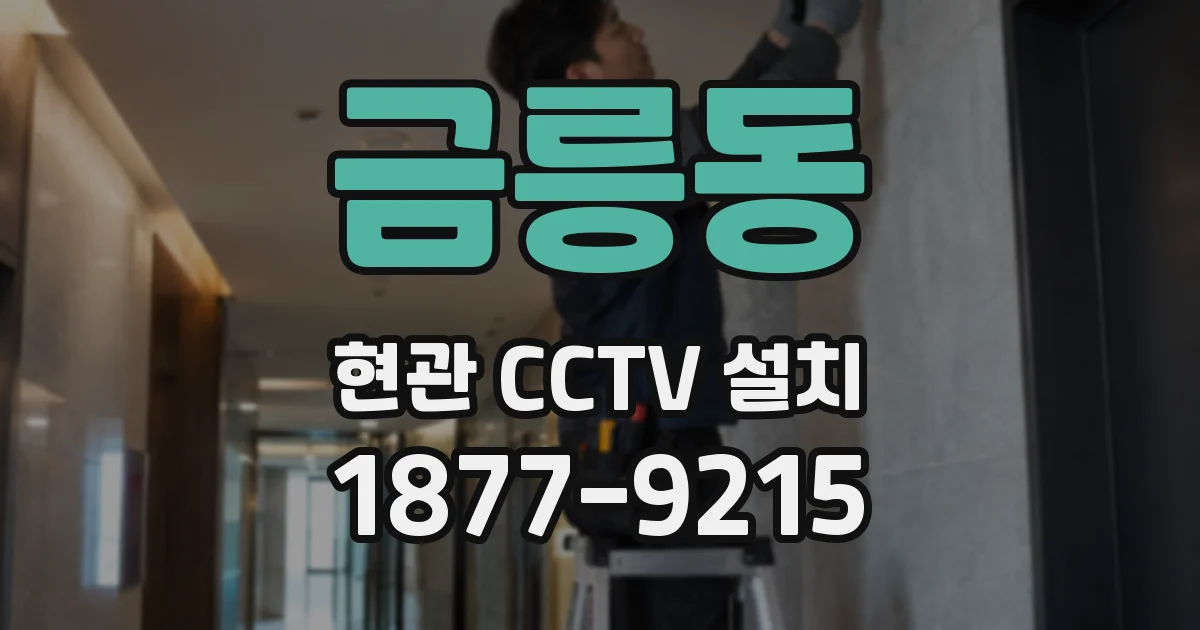 금릉동 현관 CCTV 설치