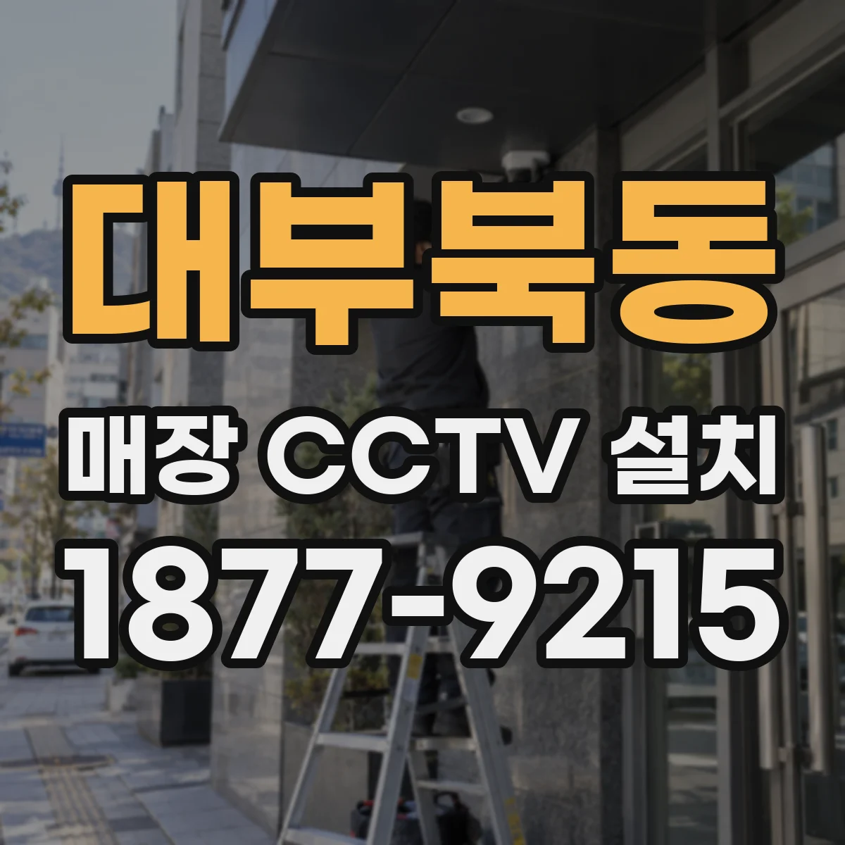 대부북동 매장 CCTV 설치