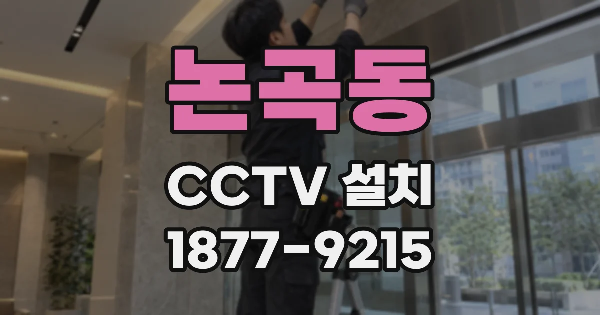 논곡동 CCTV 설치