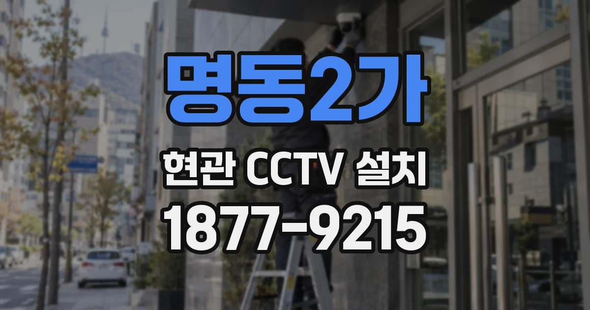 명동2가 현관 CCTV 설치