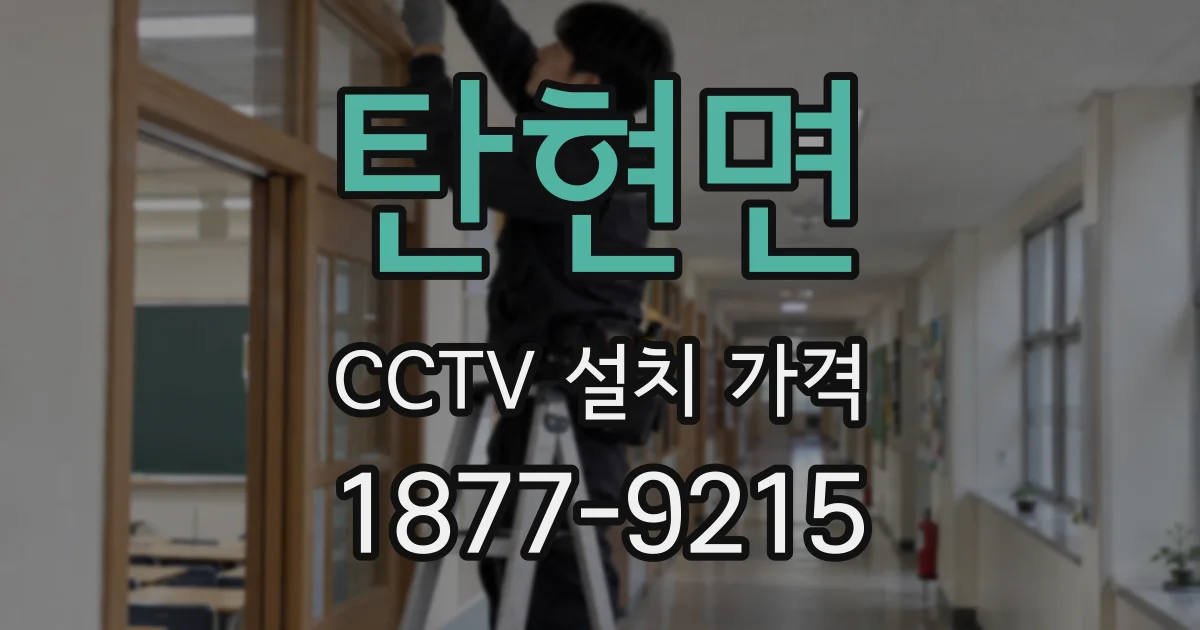 탄현면 CCTV 설치 가격