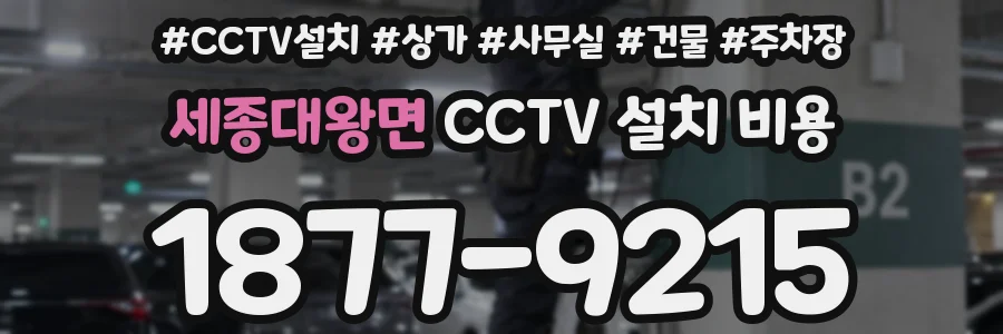 세종대왕면 CCTV 설치 비용