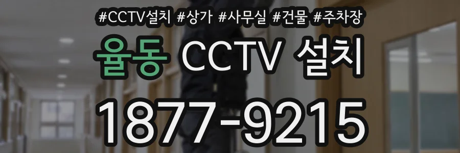 율동 CCTV 설치