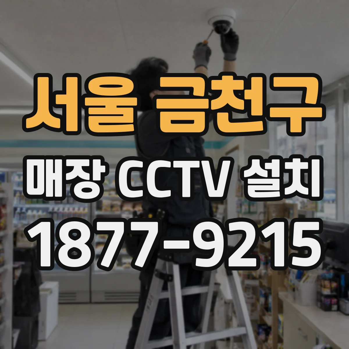 서울 금천구 매장 CCTV 설치